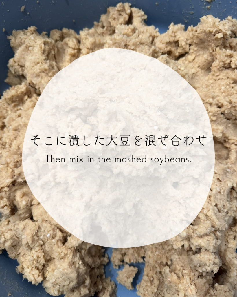 潰した大豆と麹と塩を混ぜ合わせた写真