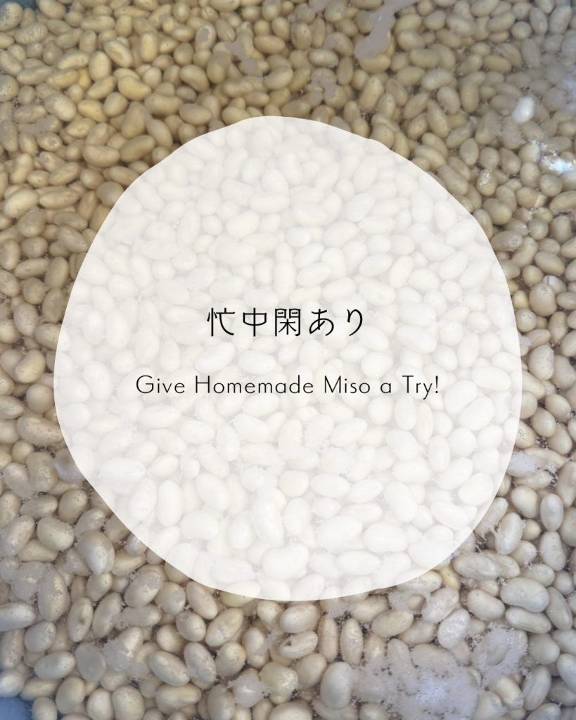 大豆を一晩水につけている写真