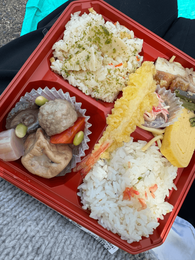 私の分までいただいたお花見弁当